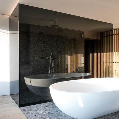 Gekleurd glas Interieur glas afschermingen Huishoudelijk gebruik met aluminium frame