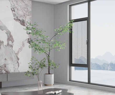 Poederbedekte aluminium ramen met dubbele beglazing