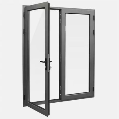 Dubbele deur Aluminium glazen schommeldeur aanpasbaar met modern design