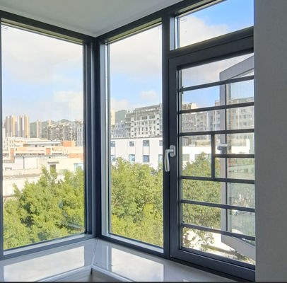 Aanpasbaar 1,2 mm aluminium behuizing schommelvenster Modern ontwerp