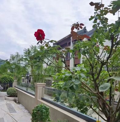 Flexibel aluminium U-kanaal glasrail Buitenglasbalustrade zonder raam