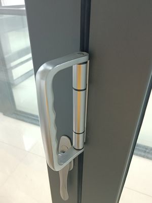 Geharmoniseerde glazen aluminium tweevoudige patiodeuren met thermisch breekprofiel